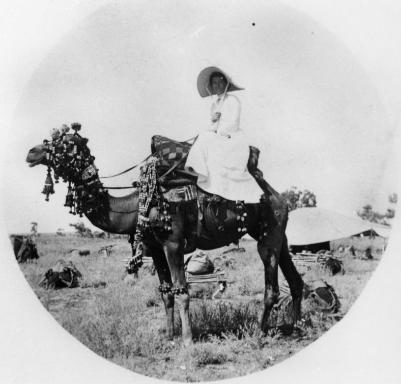 Woman seated side saddle on a highly decorated camel.